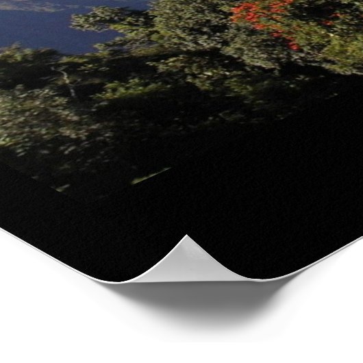 Live Aloha Poster (Ecke)