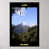 Live Aloha Poster (Vorne)
