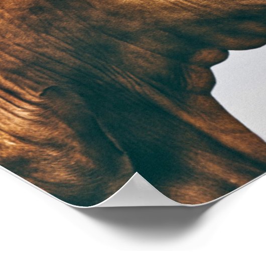 "Live and lass" vegan Poster (Ecke)