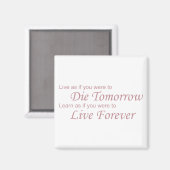 Live - Die Morgen rosa Magnet (Vorderseite/Rückseite)