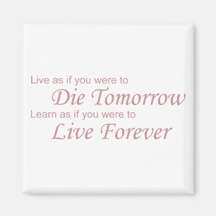 Live - Die Morgen rosa Magnet