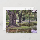 Live-Eichenüberschwemmung Postkarte (Vorne/Hinten)