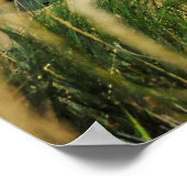 Live-Feuerübung Poster (Ecke)