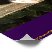 "Live Free", Smiler, cute, cat, gift Poster (Ecke)