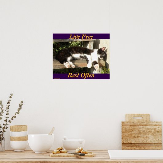 "Live Free", Smiler, cute, cat, gift Poster (Küche)