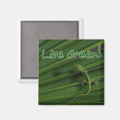 Live Green Lizard Magnet (Vorderseite/Rückseite)