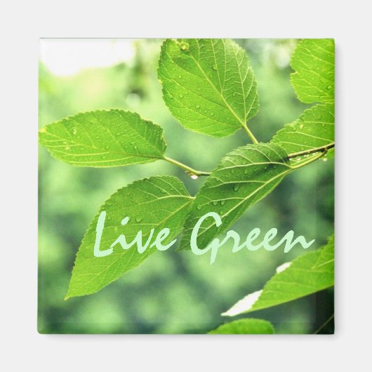 'Live Green'-Magnet Magnet (Vorne)