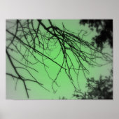 Live Green Poster (Vorne)