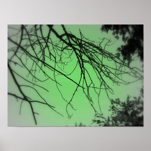 Live Green Poster (Vorne)