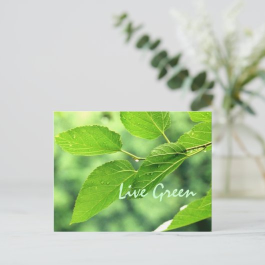 'Live Green' Postkarte (Stehend Vorderseite)