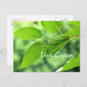 'Live Green' Postkarte (Vorne/Hinten)