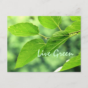 'Live Green' Postkarte