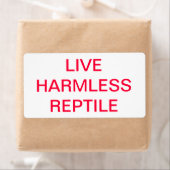 LIVE HERMLESS REPTILE (Insitu)
