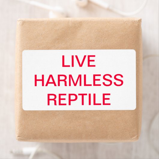 LIVE HERMLESS REPTILE (Insitu)