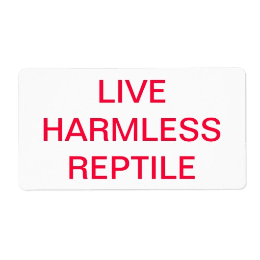 LIVE HERMLESS REPTILE (Vorne)