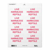 LIVE HERMLESS REPTILE (Vorne)