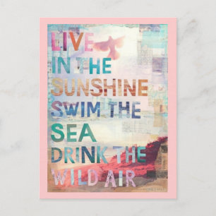 Live in the Sunshine Postkarte
