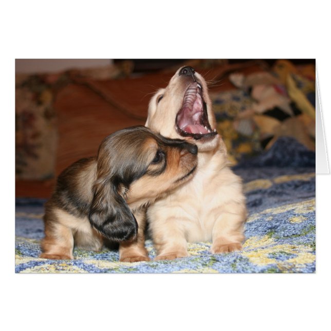 Live, Lachen, Liebe (Vorderseite (Horizontal))