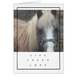 LIVE, LACHEN, LIEBE-PONY - LEERE KARTE