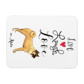 Live Lagh Liebe an Akita Magnet (Horizontal)