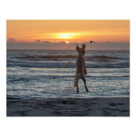 "Live Large" Beach Sunset Foto Print (14" x 11")