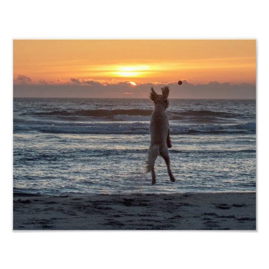 "Live Large" Beach Sunset Foto Print (14" x 11") (Vorne)