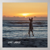 "Live Large" Beach Sunset Poster (12" x 12") (Vorne)