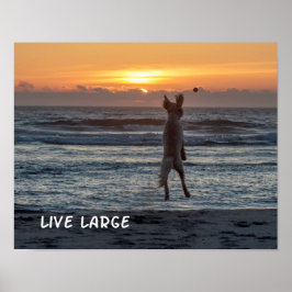 "Live Large" Beach Sunset Poster (14" x 11")
