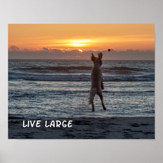 "Live Large" Beach Sunset Poster (14" x 11") (Vorne)