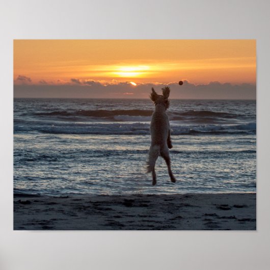 "Live Large" Beach Sunset Poster (14" x 11") (Vorne)