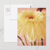 Live Liebe Laugh Gerbera Blume Light Grunge Postkarte (Vorne/Hinten)