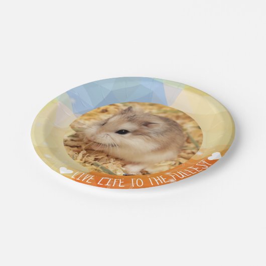 Live Life to Fullest - Hammyville Hamsters Pappteller (Schrägansicht)