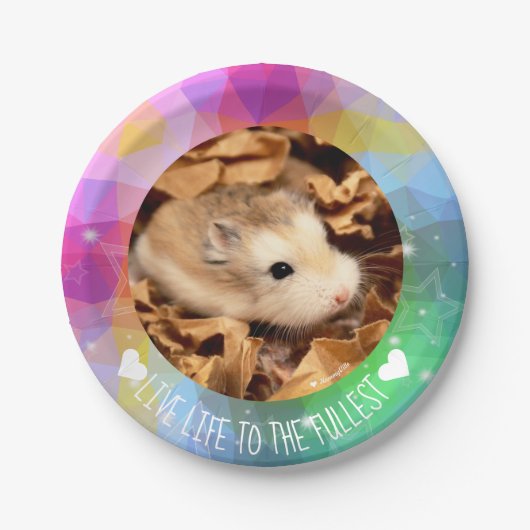 Live Life to Fullest - Hammyville Hamsters Pappteller (Vorderseite)