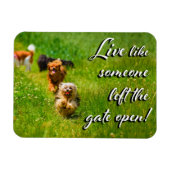 Live Like Someone Left the Gate Open! Magnet (Horizontal)