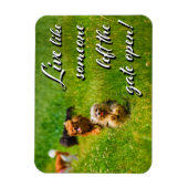 Live Like Someone Left the Gate Open!  Magnet (Vertikal)