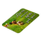 Live Like Someone Left the Gate Open!  Magnet (Linke Seite)