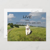 "Live like Someone Verlassen the Gate Open" Postka Postkarte (Vorne/Hinten)