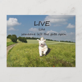 "Live like Someone Verlassen the Gate Open" Postka Postkarte