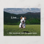 "Live like Someone Verlassen the Gate Open" Postka Postkarte (Vorderseite)