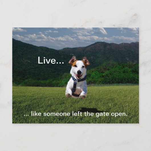 "Live like Someone Verlassen the Gate Open" Postka Postkarte (Vorderseite)