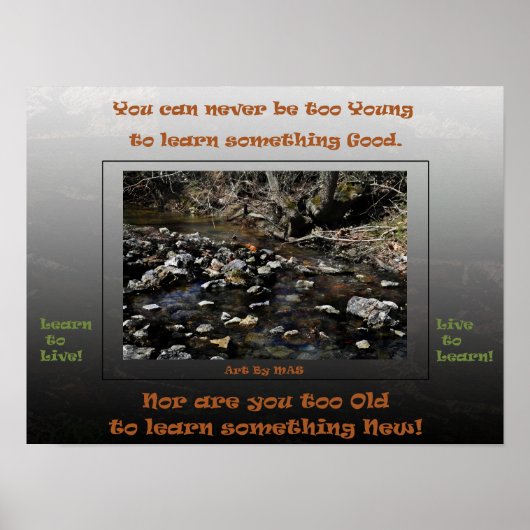 Live live lernen 2 lernen poster (Vorne)