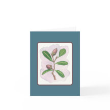 Live Oak Card: Blau und Braun