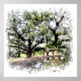 *~* Live Oak New Orleans Living Oaks Kunstmalerei Poster