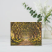 Live Oak Path | Landscape | Postcard Postkarte (Stehend Vorderseite)