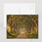 Live Oak Path | Landscape | Postcard Postkarte (Vorne/Hinten)