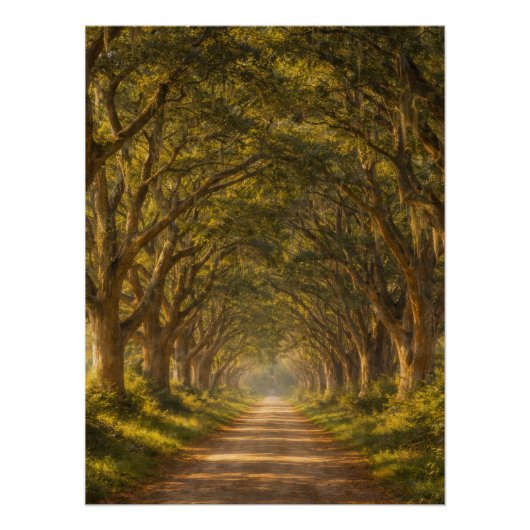 Live Oak Path | Landschaft | Poster (Vorderseite)