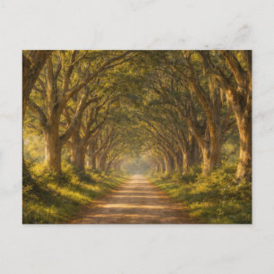 Live Oak Path Landschaft Postkarte