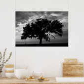 Live Oak Poster (Küche)