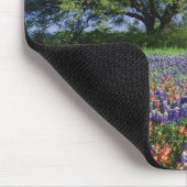 Live Oak & Texas Paintbrush und Texas Mousepad (Ecke)