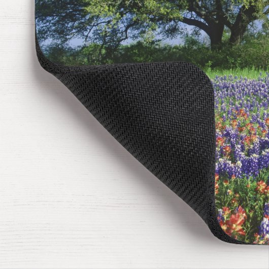 Live Oak & Texas Paintbrush und Texas Mousepad (Ecke)